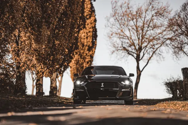 Casino Lion Wins Android/iOS Forrit